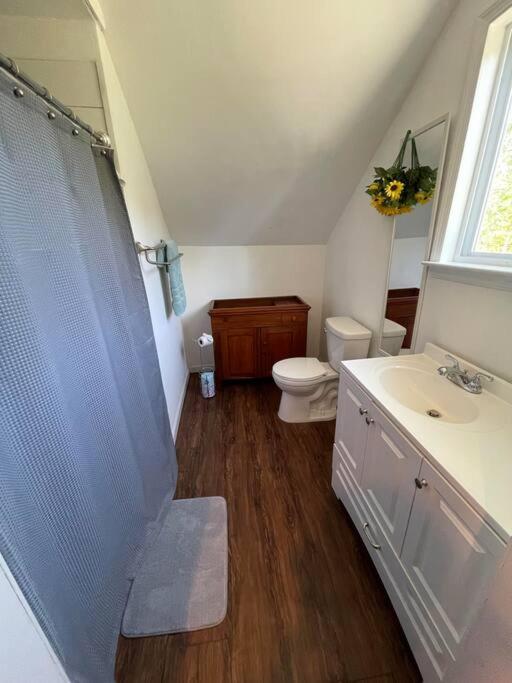 Eden Farm: Private Studio Minutes From Salisbury Экстерьер фото